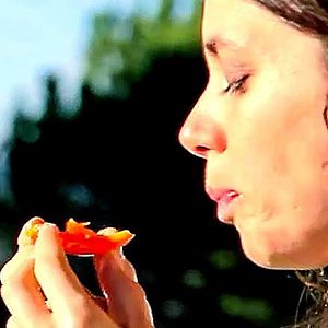 Bilder Régénération