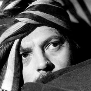 Bilder Die Peitsche im Genick