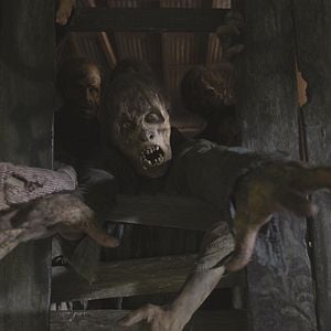 Bilder The Walking Dead