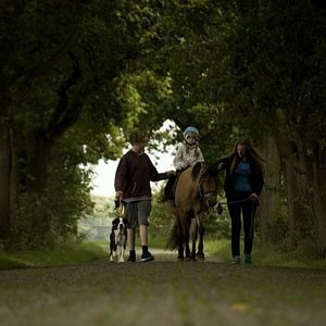 Bilder Unzertrennlich