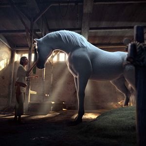 Bilder Bilal: A New Breed of Hero