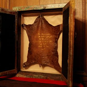 Bilder Das Chagrinleder