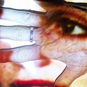 Bilder Evidentiary Bodies