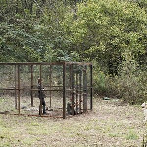 Bilder MacGyver (2016)