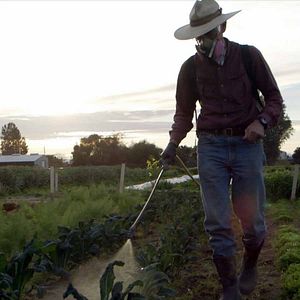 Bilder Food Evolution