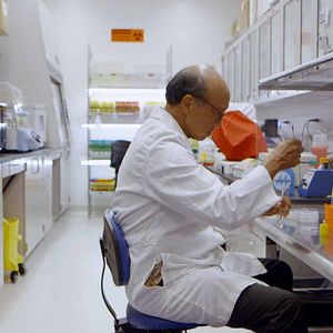 Bilder Food Evolution