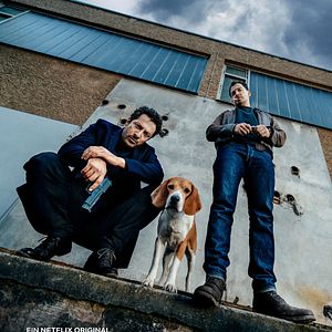 Bilder Dogs Of Berlin