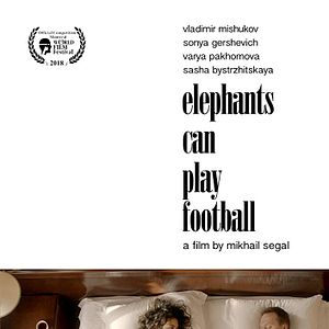 Bilder Elephants Can Play Football
