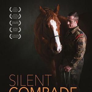 Bilder Stiller Kamerad