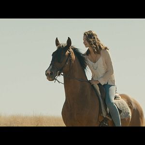 Bilder Leia Holtwick