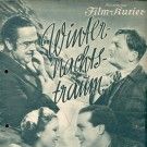 Bilder Winternachtstraum