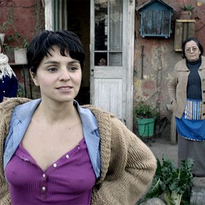 Bilder Cabros de mierda