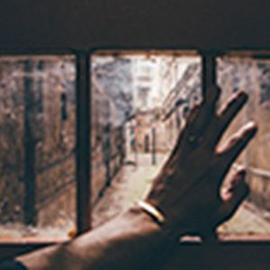 Bilder Quinqui stars