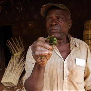 Bilder Yves’ Versprechen