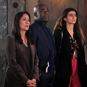 Bilder Sakina Jaffrey