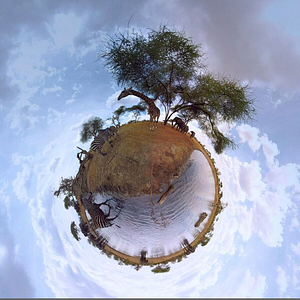 Bilder The Wild Immersion