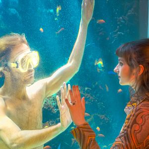 Bilder Der Froschkönig