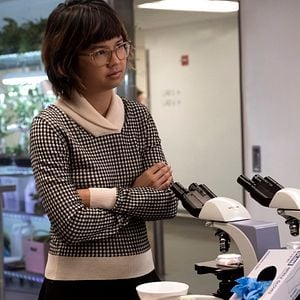 Bilder Manhattan Queen