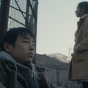 Bilder An Elephant Sitting Still