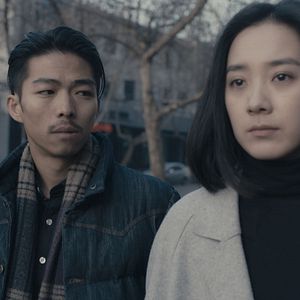 Bilder An Elephant Sitting Still