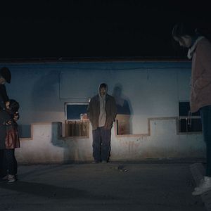 Bilder An Elephant Sitting Still