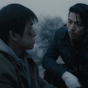 Bilder An Elephant Sitting Still