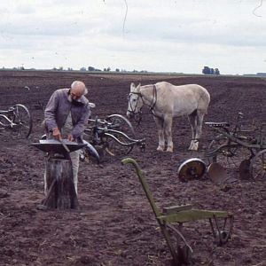 Bilder ¡Que Vivan los Crotos!