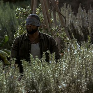 Bilder Bird Box - Schließe deine Augen