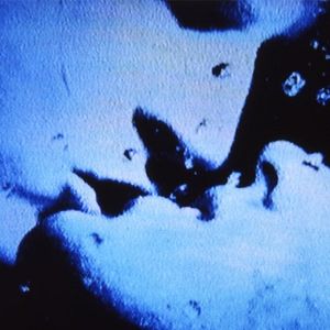 Bilder Self-Portrait in 23 Rounds: a Chapter in David Wojnarowicz's Life, 1989–1991