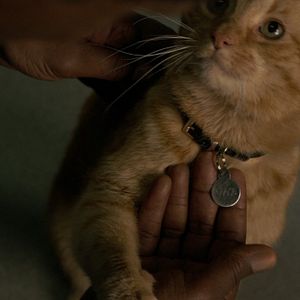 Bilder Captain Marvel