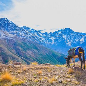 Bilder Reiss aus - Zwei Menschen. Zwei Jahre. Ein Traum