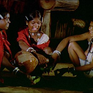 Bilder Dschungelsaga