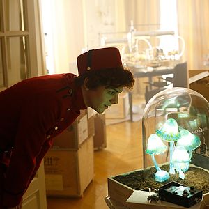 Bilder Die Abenteuer von Spirou & Fantasio