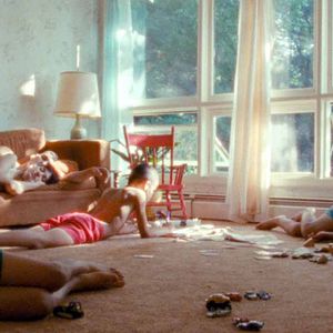 Bilder We The Animals