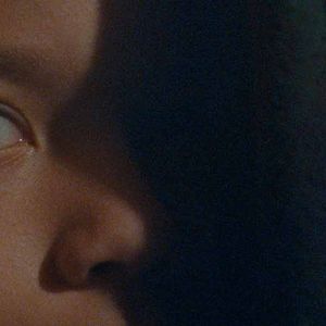 Bilder We The Animals