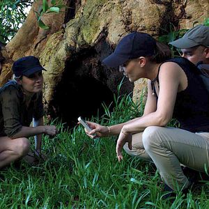 Bilder Le Fruit de l'espoir