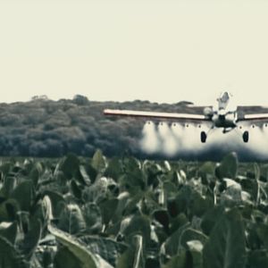 Bilder Viaje a los Pueblos Fumigados