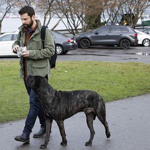 Bilder A Million Little Things