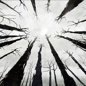 Bilder Chris The Swiss