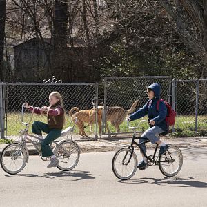 Bilder True Detective