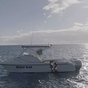 Bilder Hawaii Five-0