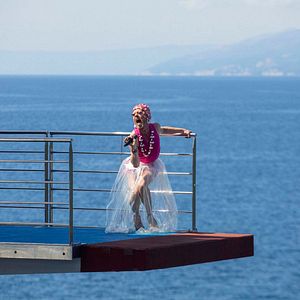 Bilder Die glitzernden Garnelen