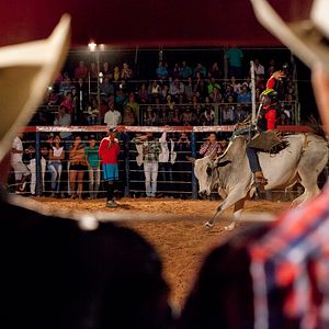 Bilder Querência - Heimkehren
