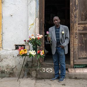 Bilder Winter in Havanna