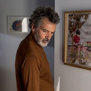 Bilder Leid und Herrlichkeit