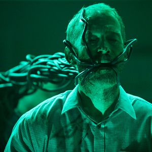 Bilder Controlled - Bewahren Sie Ruhe