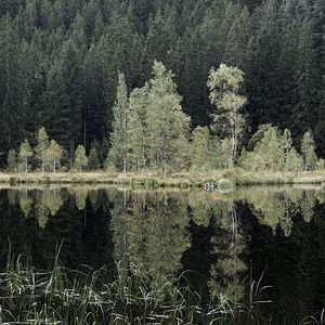 Bilder Das Innere Leuchten