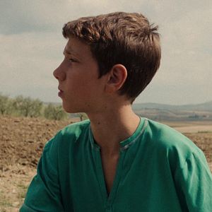 Bilder Gli ultimi a vederli vivere