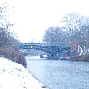 Bilder Une rose ouverte / Warda