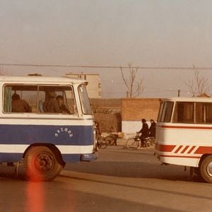 Bilder Breathless Animals